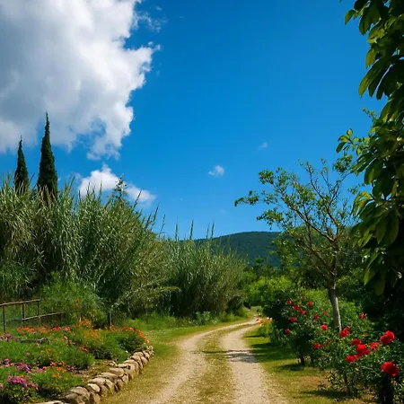 Rodanthy Iv * 凯特利奥斯