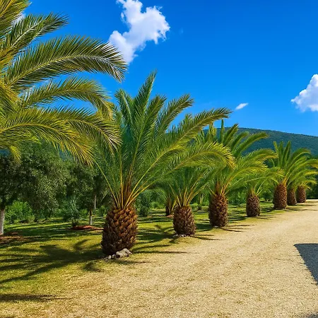 Rodanthy Iv Apartment