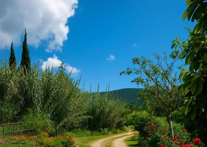 Rodanthy Iv * Katelios