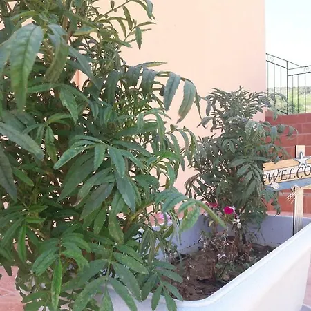 Apartman Rodanthy Iv *